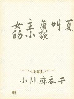 女主角叫夏未央的小说