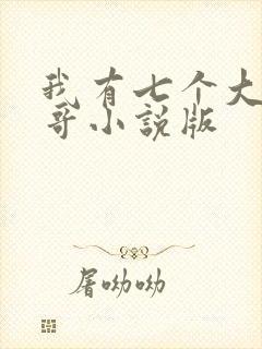 我有七个大佬哥哥小说版