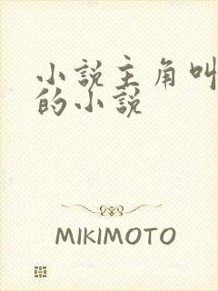 小说主角叫林宇的小说