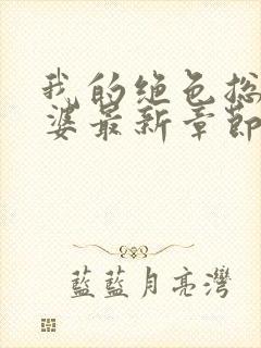 我的绝色总裁老婆最新章节阅读