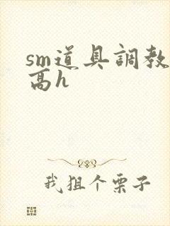 sm道具调教文高h