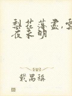 梨花落尽,云散夜未明