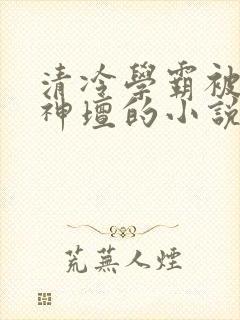 清冷学霸被拉下神坛的小说