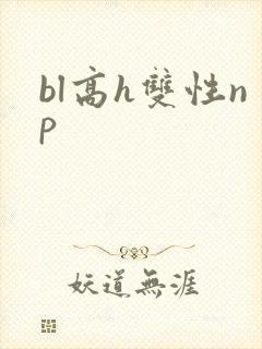 bl高h双性np