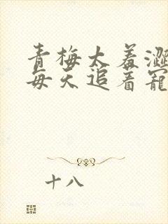 青梅太羞涩竹马每天追着宠小说最新