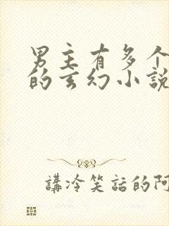 男主有多个老婆的玄幻小说