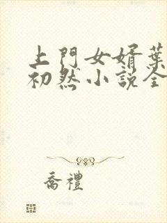 上门女婿叶辰萧初然小说全集