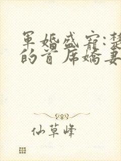 军婚盛宠:楚少的首席娇妻