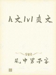 h文1v1爽文