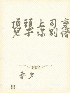 顶头上司变后妈儿子你别懵改编