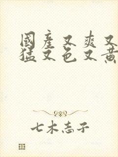 国产又爽又粗又猛又色又黄免费网站