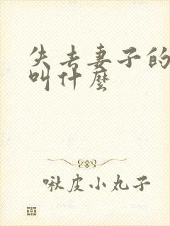 失去妻子的丈夫叫什么