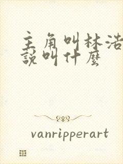 主角叫林浩的小说叫什么封面