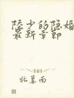 陆少的隐婚罪妻最新章节