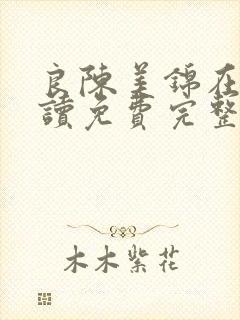 良陈美锦在线阅读免费完整版