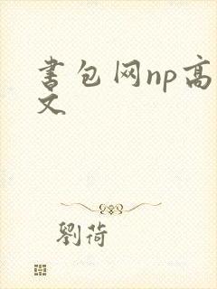 书包网np高辣文封面