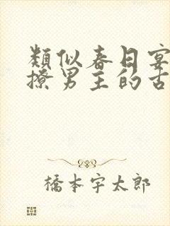 类似春日宴女主撩男主的古言封面