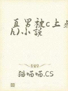 直男被c上瘾(h)小说封面