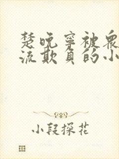 楚晚宁被众人轮流欺负的小说