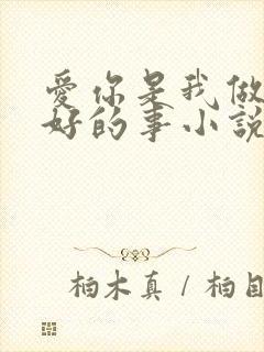 爱你是我做过最好的事小说全文免费阅读