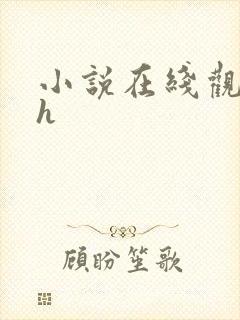 小说在线观看高h