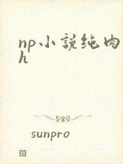 np小说纯肉高h