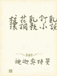 校花乳钉乳环蒂环调教小说