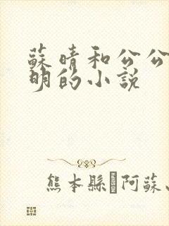 苏晴和公公苏大明的小说