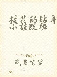 校花的贴身高手小说改编