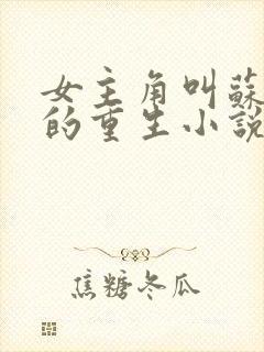 女主角叫苏安安的重生小说封面