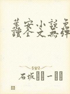 叶安小说免费阅读全文无弹窗