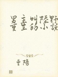 男主叫陆野女主重生的小说封面