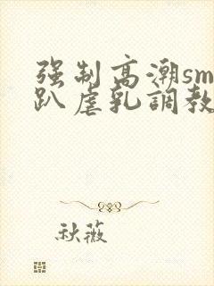 强制高潮sm跪趴虐乳调教文