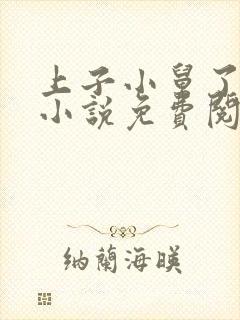 上子小舅了老婆小说免费阅读