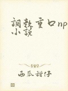 调教重口np文小说封面