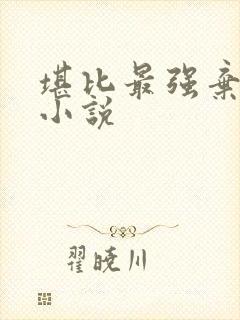 堪比最强弃少的小说