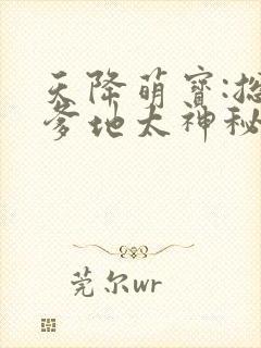 天降萌宝:总裁爹地太神秘封面