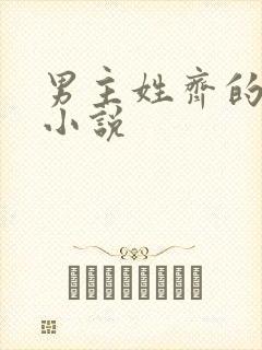 男主姓齐的总裁小说