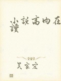 小说高肉在线阅读