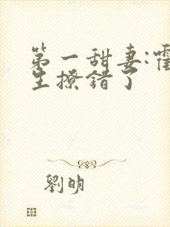 第一甜妻:霍先生撩错了