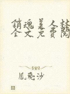 销魂美人林婷婉全文免费阅读小说封面