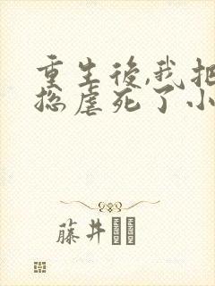 重生后,我把渣总虐死了小说txt