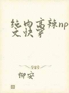 纯肉高辣np爽文快穿