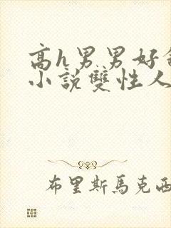 高h男男好舒服小说双性人