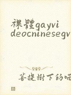 裸体gayvideocninesegv