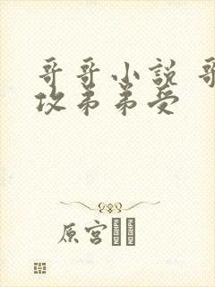 哥哥小说 哥哥攻弟弟受封面