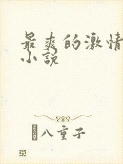 最爽的激情乱岳小说封面