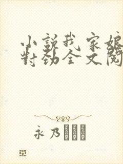 小说我家娘子不对劲全文阅读免费