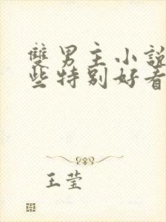 双男主小说有哪些特别好看的