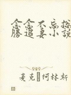 念念不忘总裁乘胜追妻小说免费阅读封面